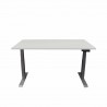 Table électrique 600-1250x1400x800mm
